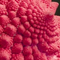 When the Jehovah's Witnesses came over...