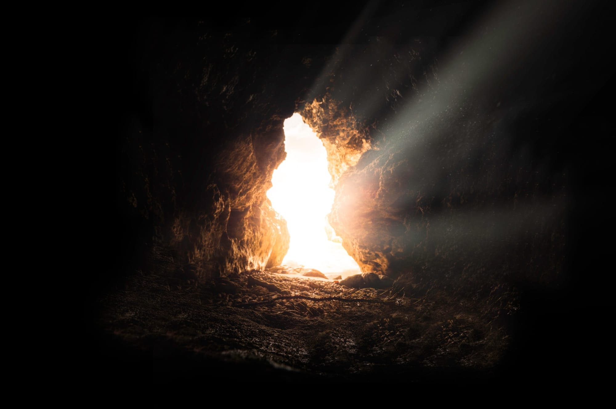 Via Unsplash