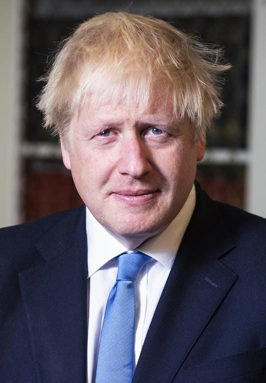 The Prime Minister Boris Johnson Portrait